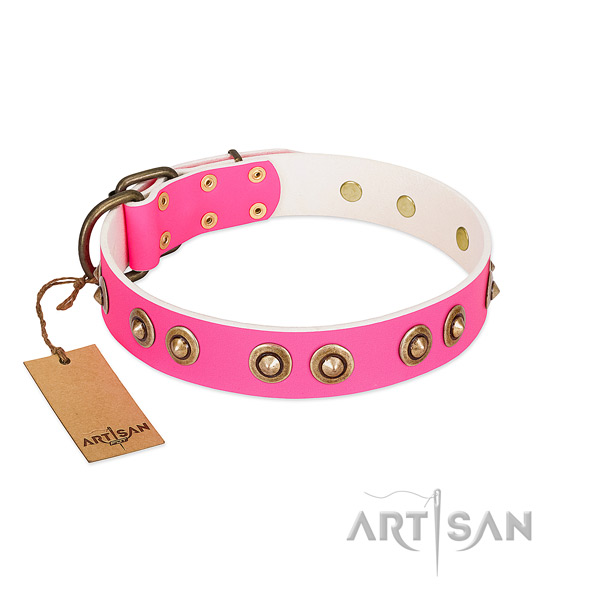 Adjustable leather dog collar for stylish walking