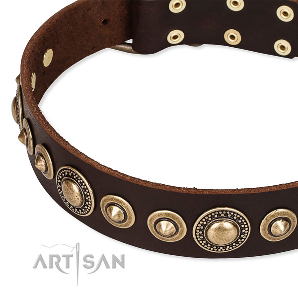 Top notch full grain natural leather dog collar crafted for your beautiful canine