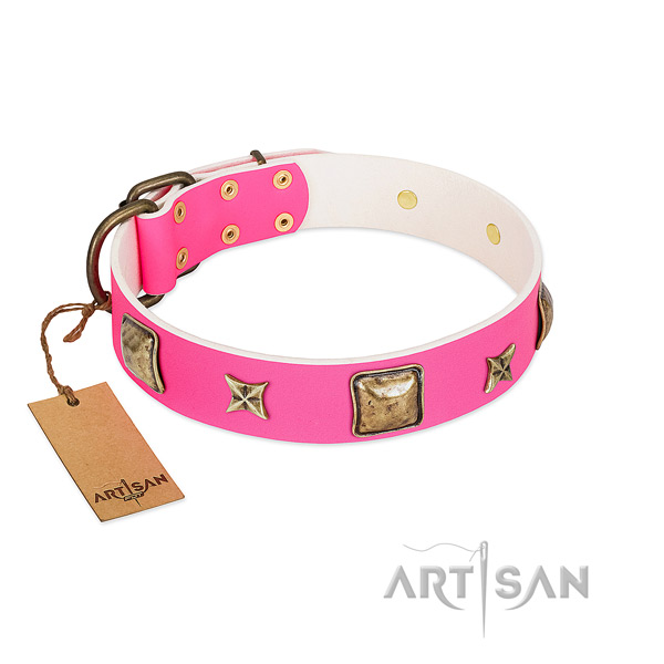 Full grain natural leather dog collar of flexible material with stylish adornments