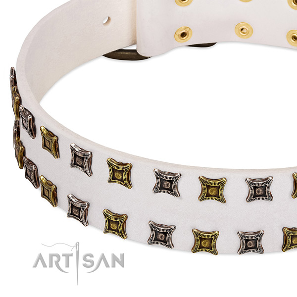 Quality natural leather dog collar for your impressive doggie