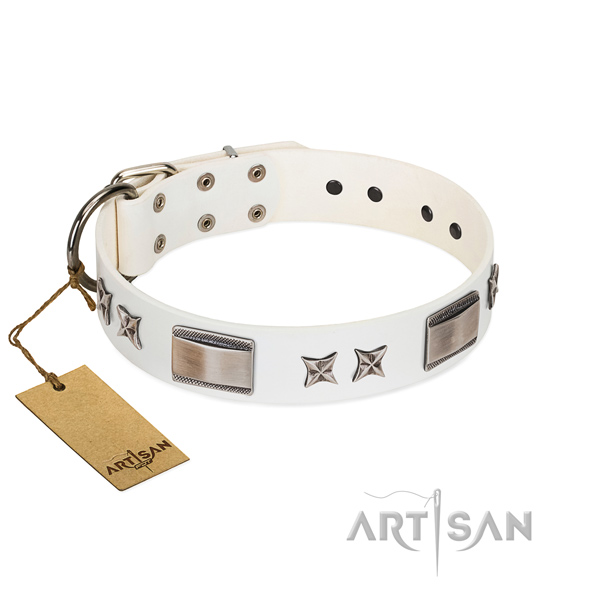 Stylish dog collar of genuine leather