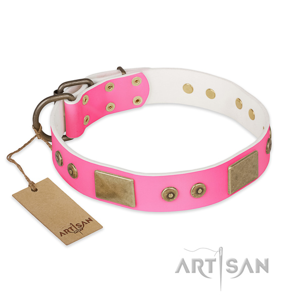 Unusual genuine leather dog collar for handy use