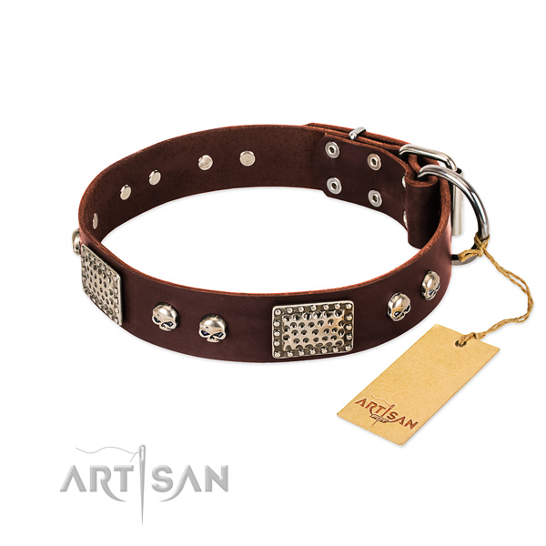 Easy wearing natural genuine leather dog collar for basic training your four-legged friend