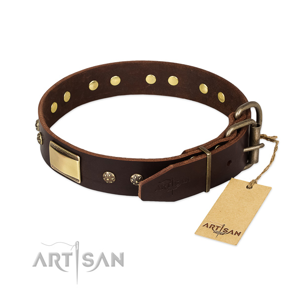 Embellished full grain leather collar for your pet