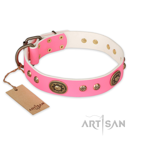 Exceptional natural genuine leather dog collar for everyday use