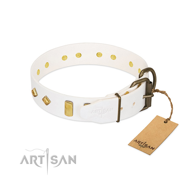 Soft full grain natural leather dog collar with strong hardware