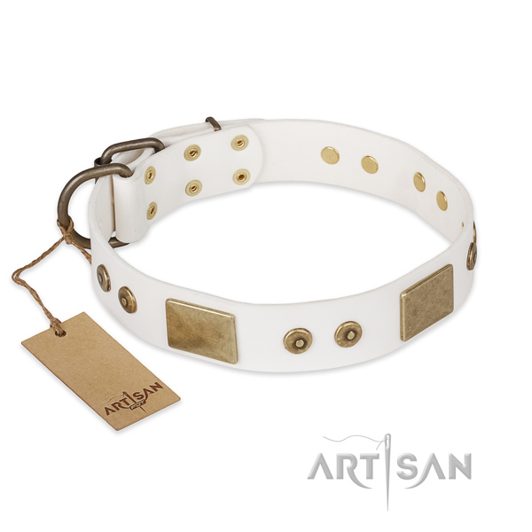 Inimitable genuine leather dog collar for walking
