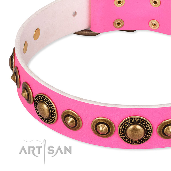 Soft leather dog collar crafted for your impressive four-legged friend