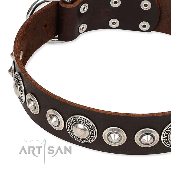 Fancy walking embellished dog collar of top notch full grain genuine leather