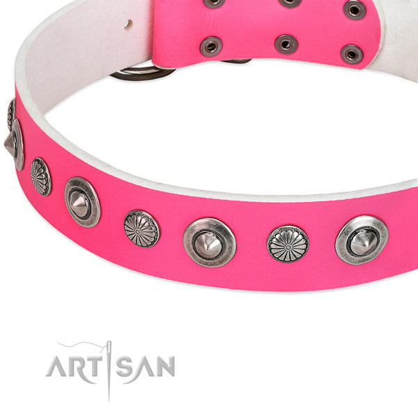 Genuine leather collar with durable hardware for your handsome dog