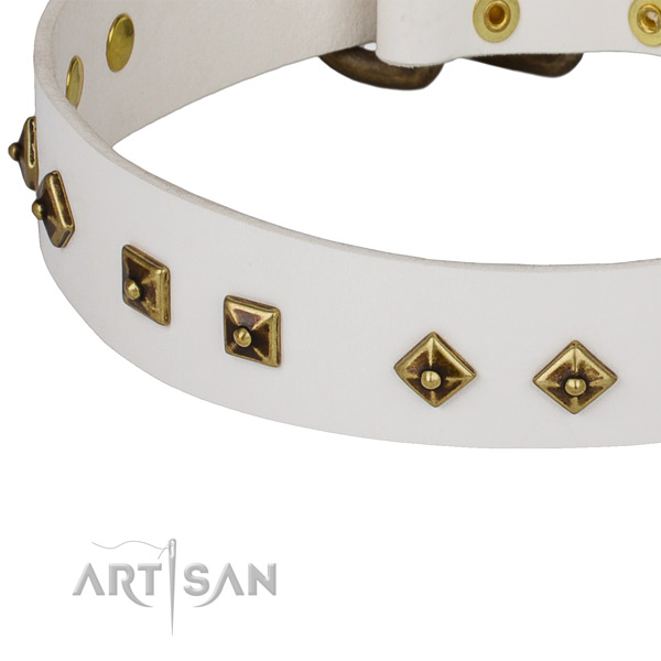 Exceptional leather collar for your beautiful four-legged friend