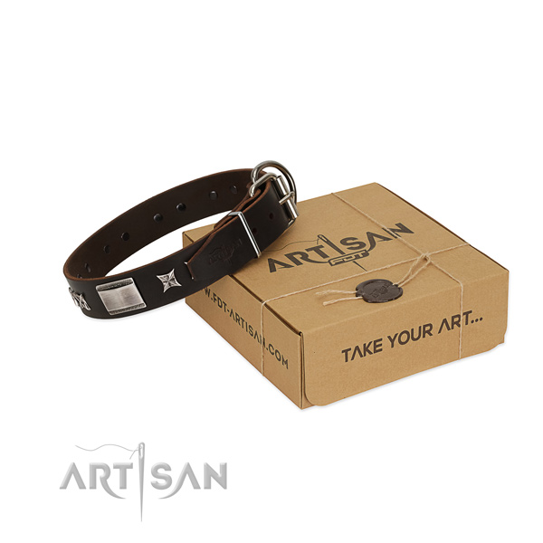 Significant collar of leather for your lovely dog