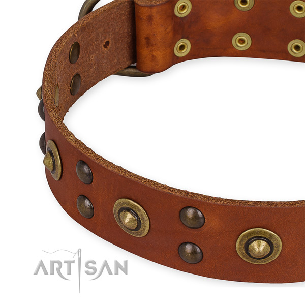 Full grain natural leather collar with corrosion resistant D-ring for your lovely canine