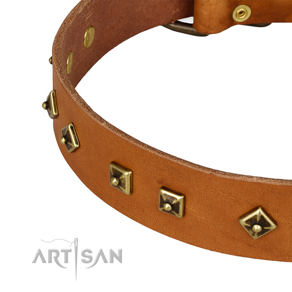 Best quality genuine leather collar for your lovely four-legged friend