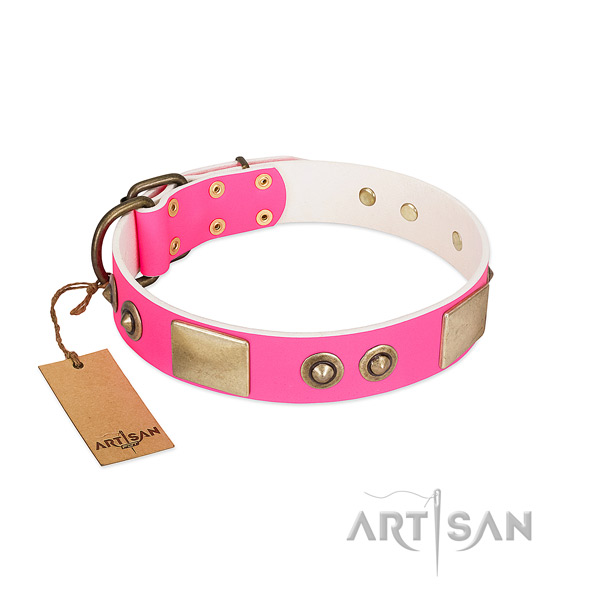Rust-proof buckle on genuine leather dog collar for your dog