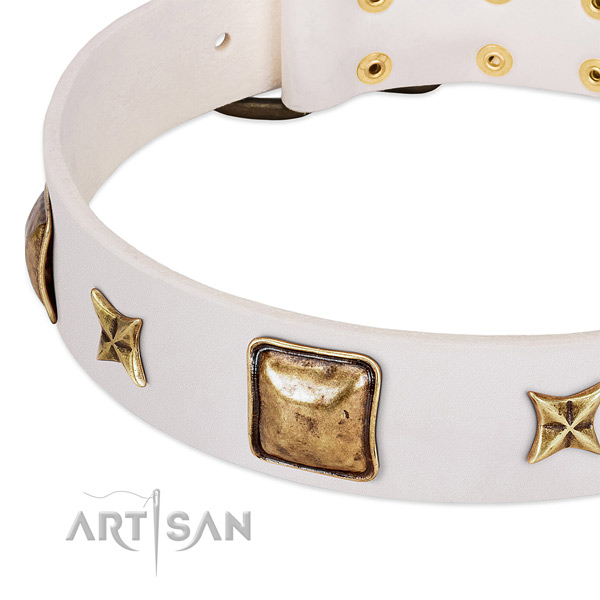 Rust-proof embellishments on leather dog collar for your pet