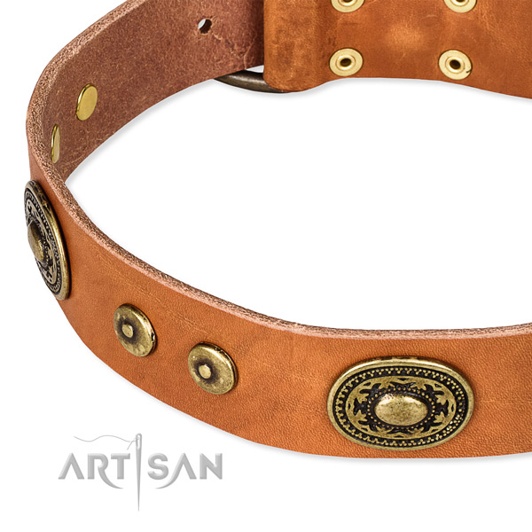 Natural genuine leather dog collar made of best quality material with embellishments