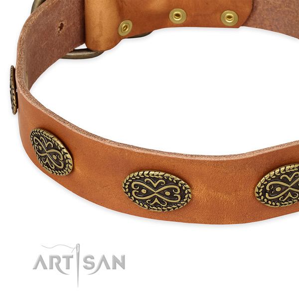 Decorated genuine leather collar for your beautiful pet