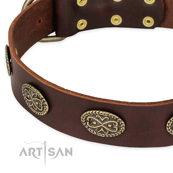 Trendy natural genuine leather collar for your attractive canine