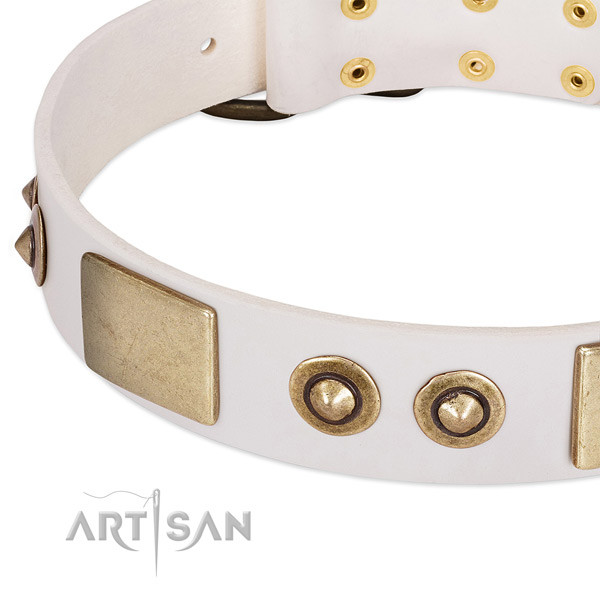 Strong adornments on natural genuine leather dog collar for your canine