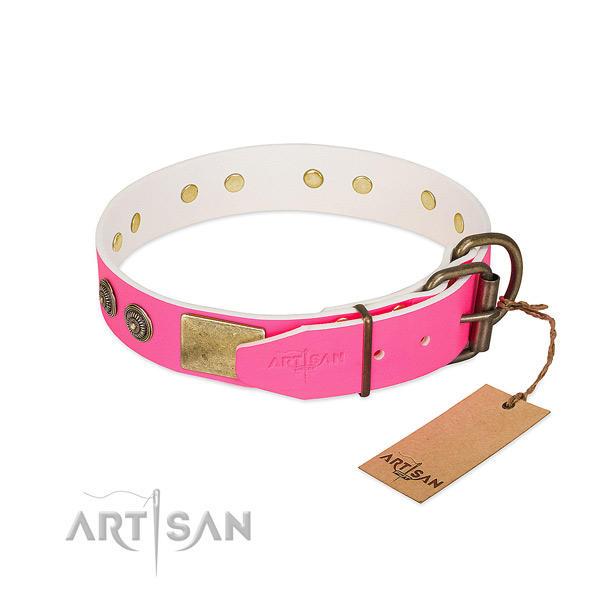 Reliable traditional buckle on genuine leather collar for stylish walking your doggie