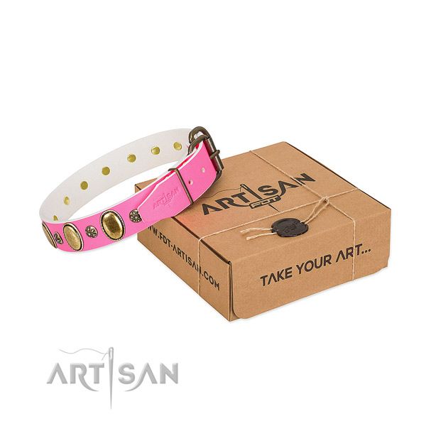 Everyday walking flexible full grain genuine leather dog collar with studs