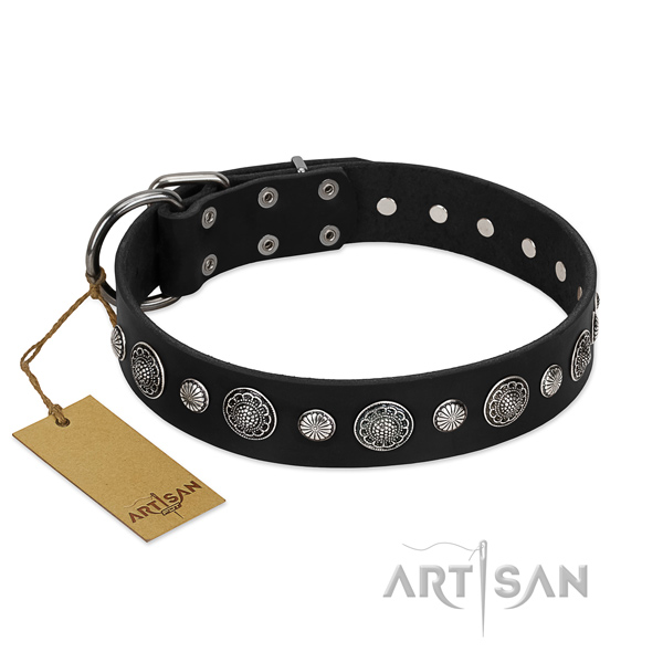 Finest quality leather dog collar with trendy embellishments