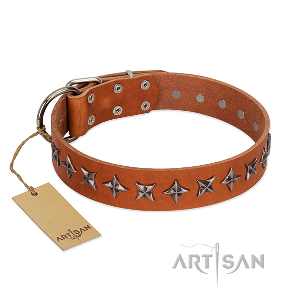 Handy use dog collar of best quality full grain genuine leather with decorations