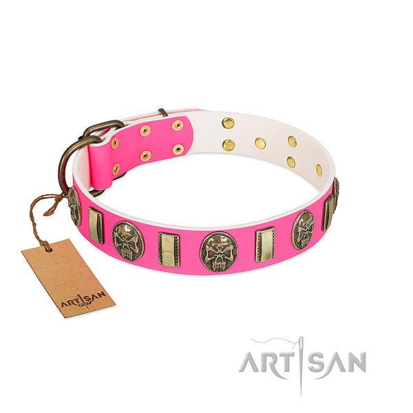 Reliable decorations on leather dog collar for your doggie