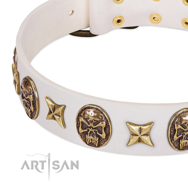 Amazing dog collar made for your handsome canine