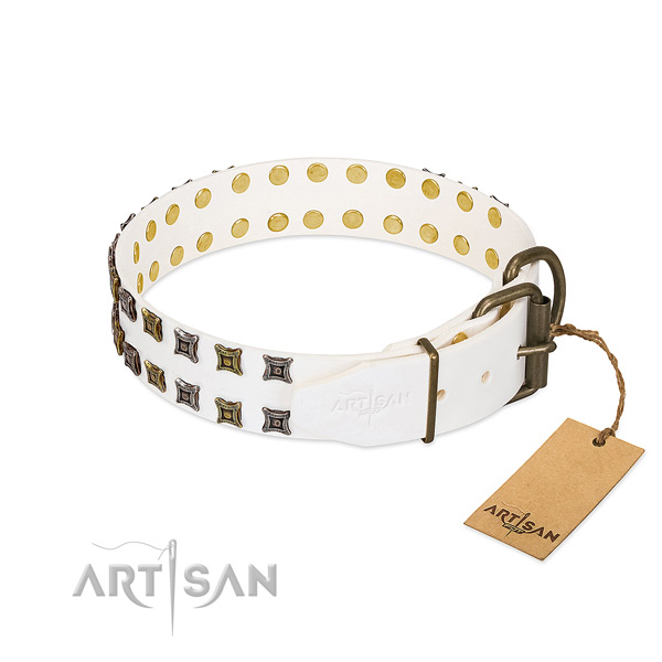 Leather collar with remarkable studs for your dog