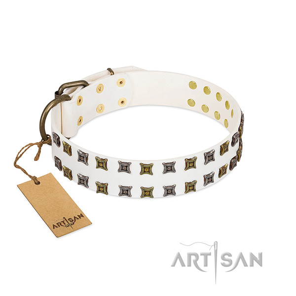 Quality natural leather dog collar with embellishments for your dog