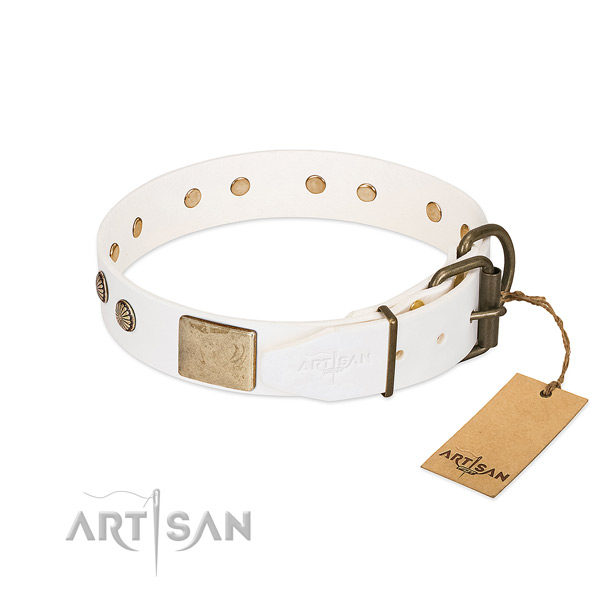 Reliable fittings on comfy wearing dog collar