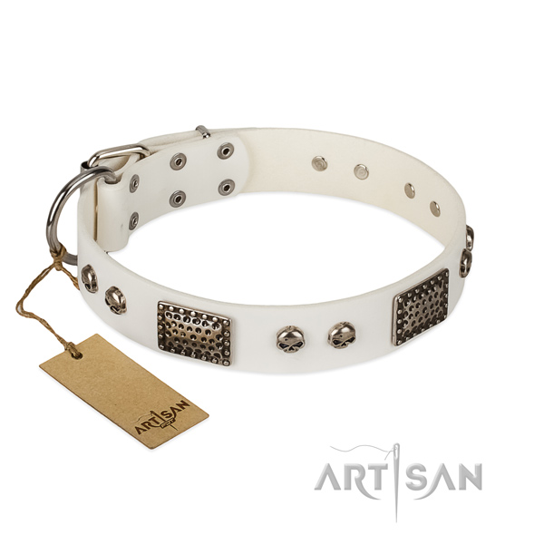 Adjustable leather dog collar for walking your doggie