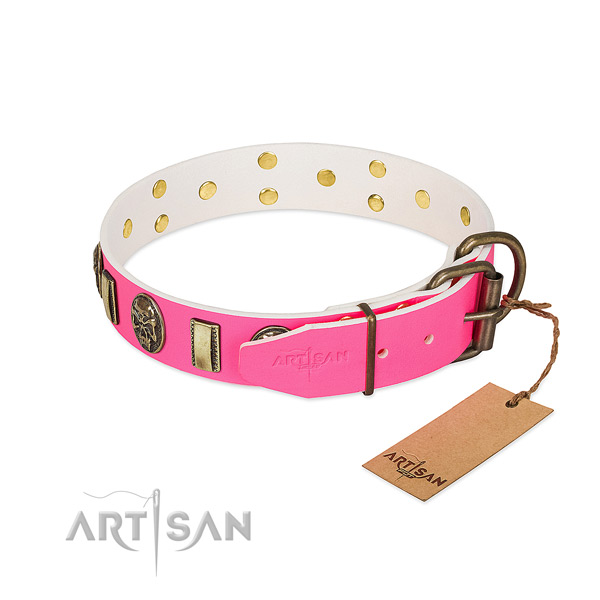 Rust-proof embellishments on genuine leather dog collar for your dog