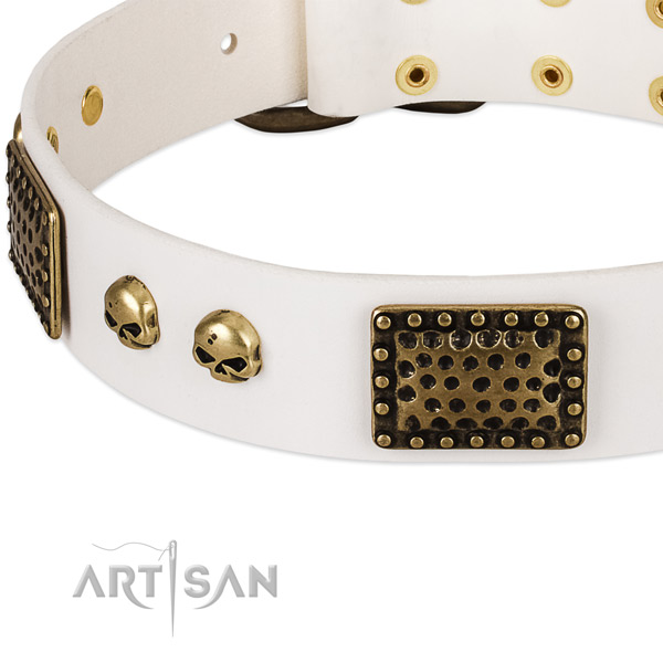 Durable embellishments on full grain natural leather dog collar for your canine