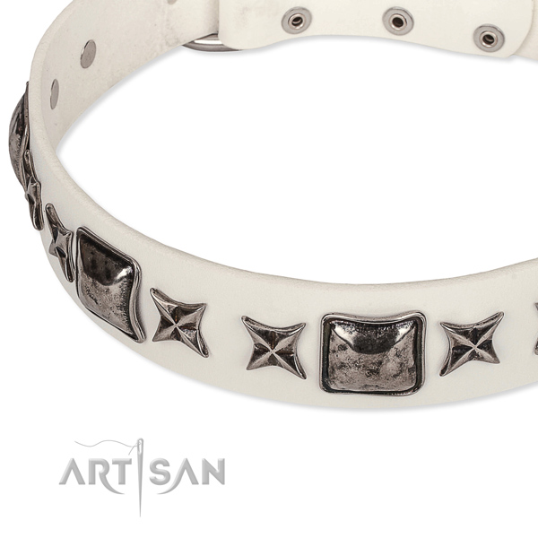 Basic training decorated dog collar of top quality full grain natural leather