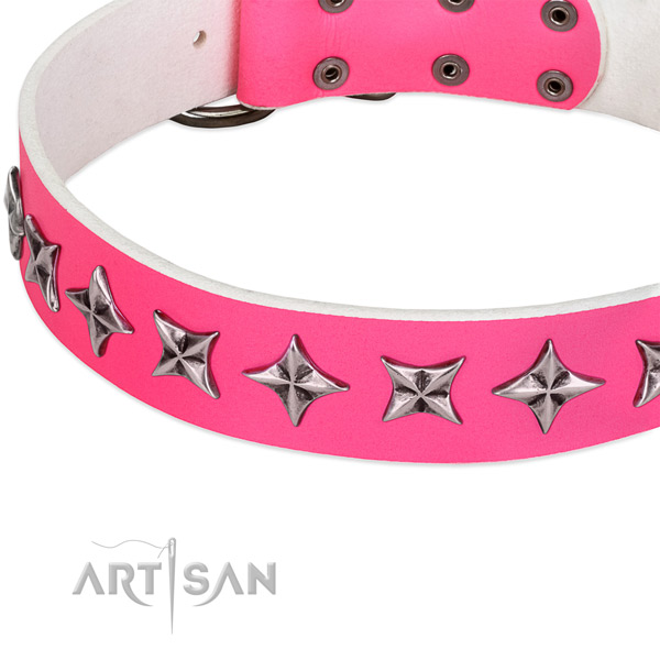 Fancy walking adorned dog collar of finest quality full grain genuine leather