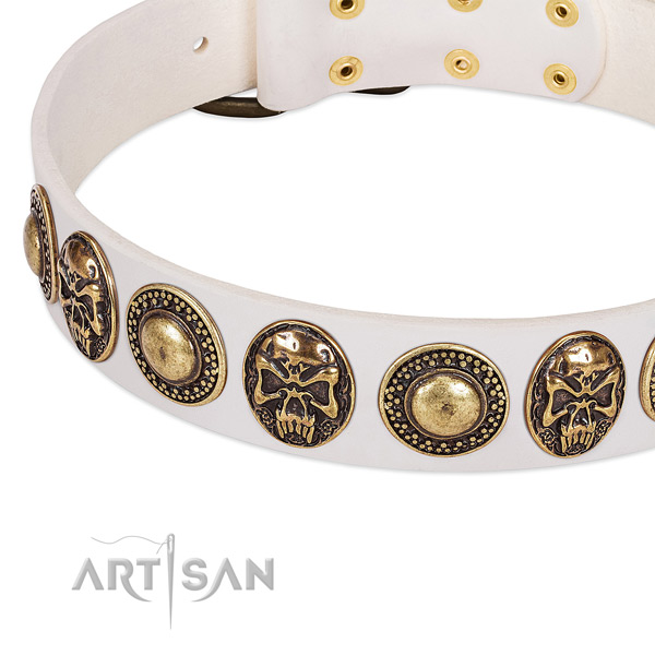 Reliable D-ring on genuine leather dog collar for your dog