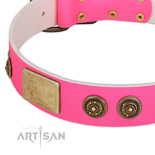 Handmade dog collar handmade for your impressive four-legged friend
