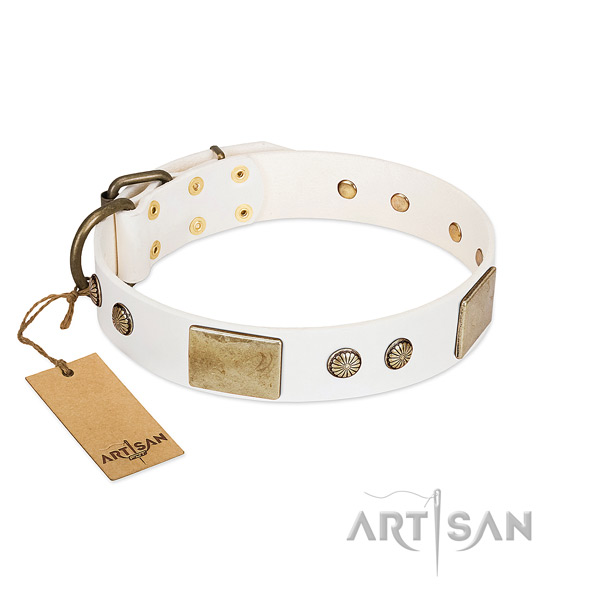 Easy wearing genuine leather dog collar for walking your pet