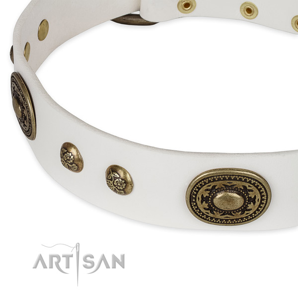 Exceptional genuine leather collar for your lovely four-legged friend