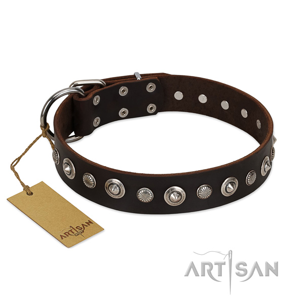 Top quality leather dog collar with fashionable embellishments