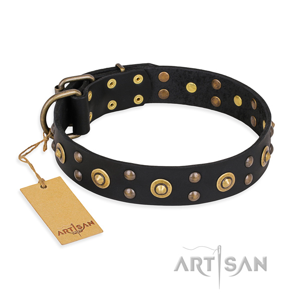 Embellished full grain genuine leather dog collar with strong fittings