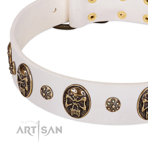 Rust resistant studs on leather dog collar for your dog