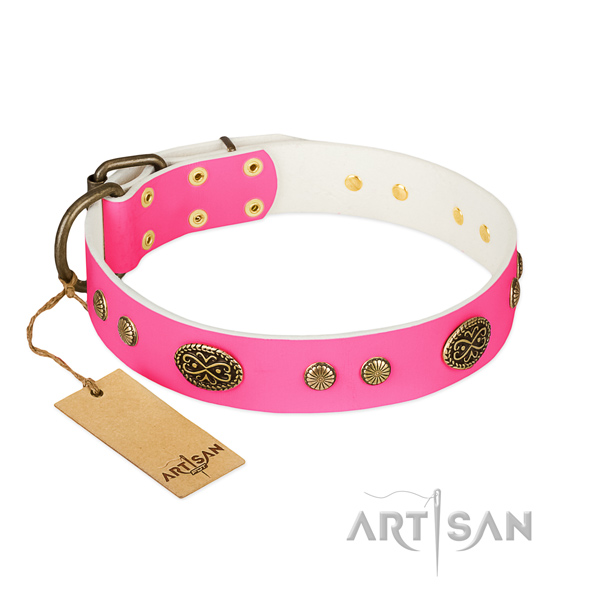 Rust-proof adornments on natural leather dog collar for your pet
