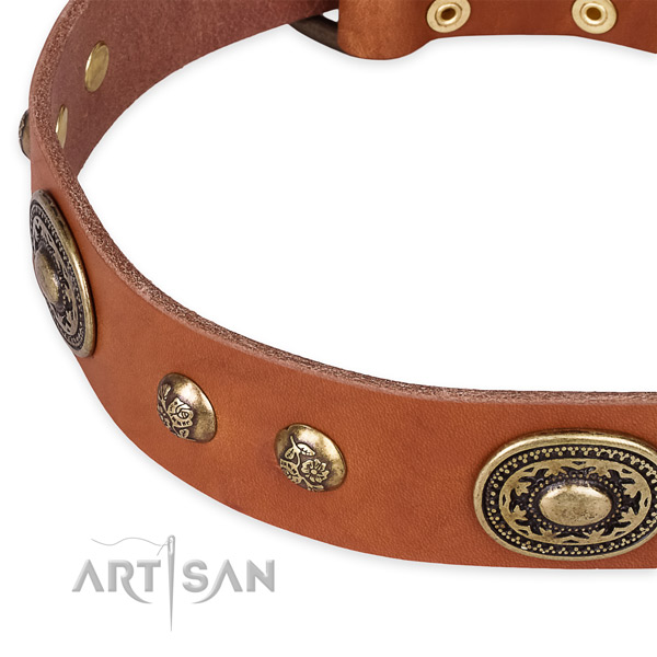 Incredible full grain genuine leather collar for your stylish doggie