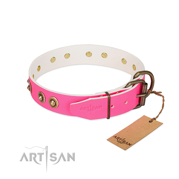Full grain genuine leather dog collar with rust resistant hardware and embellishments