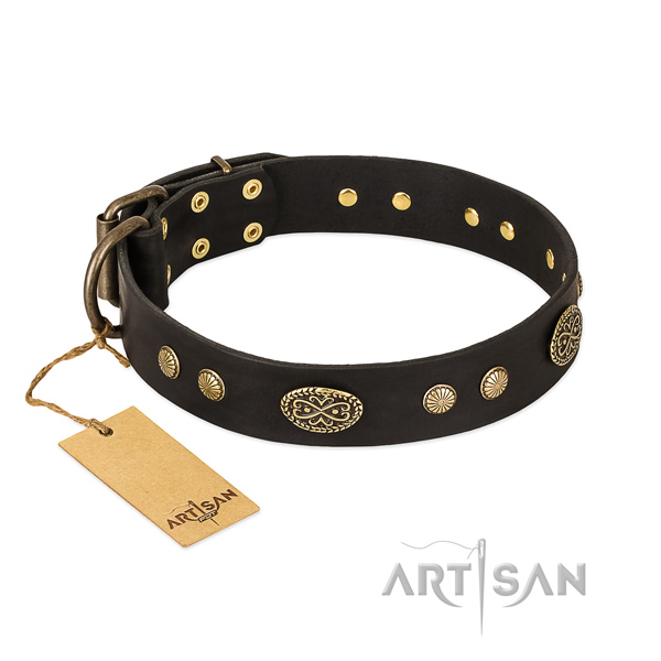 Strong embellishments on full grain natural leather dog collar for your pet
