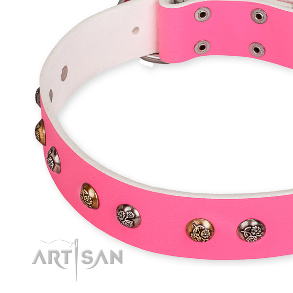 Full grain leather dog collar with unusual corrosion resistant embellishments
